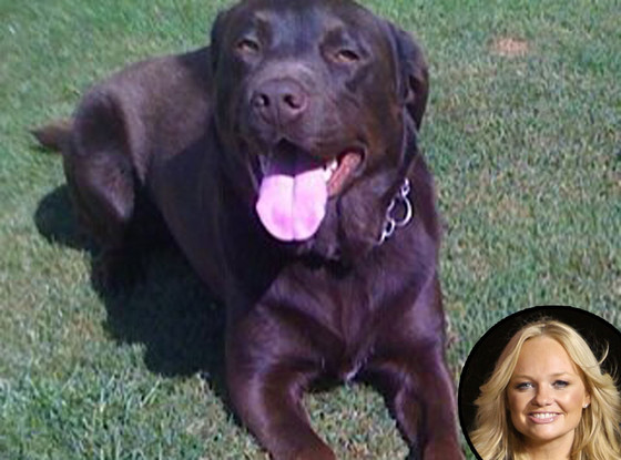 Emma Bunton, Missing Dog Emma Bunton, Missing Dog